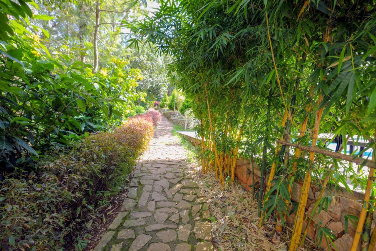 The Blossom Resort - Чикмагалур Экстерьер фото